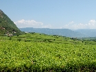Visualizzare la galleria Kaltern - Caldaro.jpg.